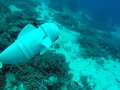 💣 SoFi, el robot marino fabricado con impresoras 3D...