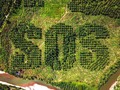 🎯 Noruega prohÃbe la compra de biocombustibles ligados a la deforestación...