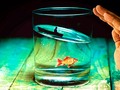 馃敂 La desalinizaci贸n radical puede acabar con la industria del agua en todo el mundo...