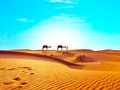 ☀️ La Ruta de la Seda: el camino hacia el conocimiento de otras culturas...