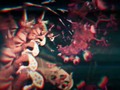 📌 Elephant, obra maestra del rock contemporáneo, cortesÃa de Tame Impala...