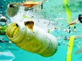 ☀️ Consecuencias de abandonar basura en la naturaleza...
