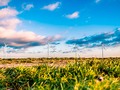 🎱 Gracias a este software Reino Unido podrá apagar varias de sus contaminantes centrales eléctricas...