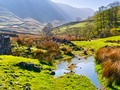 📌 Conectar con naturaleza a través de una app...