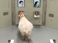 🍁 Ovejas que reconocen rostros humanos...