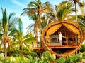 🎯 Glampings, la alternativa rural más lujosa...