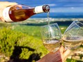 🍏 El vino blanco es tan beneficioso para la salud como el vino tinto (o más)...