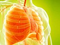 ☀️ Descubren que los pulmones producen sangre...