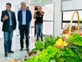 📌 Ecocomedores: Un proyecto innovador que triunfa en Canarias...