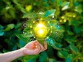 📺 Economía circular sostenible: la nueva forma de hacer negocio y reducir la contaminación...