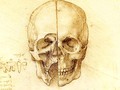 🔔 El misterio que esconden las obras maestras perdidas de Leonardo da Vinci...