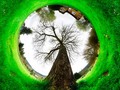 📌 Impresionantes instantáneas de la naturaleza ganadoras del concurso anual de The Nature Conservancy...