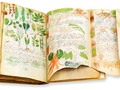 📺 Manuscrito Voynich, el enigmático libro que nadie ha logrado descifrar...