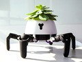 💣 Hexa, el robot que saca a tus plantas de paseo...