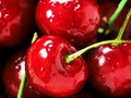💣 Comprar fruta y verdura de temporada es más ecológico, más sostenible, más sano y más sabroso...