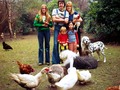 🍁 25 leyendas del rock posando junto a sus adorables mascotas. Imágenes de archivo...