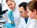 📺 Se cultivan huesos artificiales en un laboratorio de Israel...