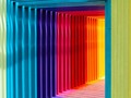 📺 El Color Favorito del Mundo: ¿Por qué asociamos ciertos colores a ciertas emociones?...