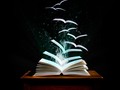 馃幈 C贸mo se elaboran los libros...