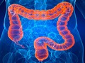 🌵 Conoce por qué el equilibro de la microbiota intestinal no debería ser alterado...