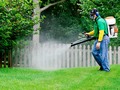 🍁 ¿Cómo funcionan los insecticidas domés?...