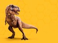 📌 Resulta que el Tyrannosaurus Rex no era para tanto...