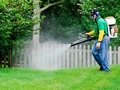 ♻️ ¿Cómo funcionan los insecticidas domés?...