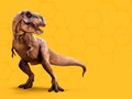 ♻️ Resulta que el Tyrannosaurus Rex no era para tanto...