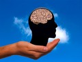 💣 Curiosidades que el cerebro no puede desvelar de sà mismo...