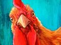 ⭐️ Por qué "gallina" ya no es sinónimo de "cobarde"...