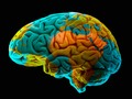 📌 ¿Es capaz el cerebro de olvidar intencionadamente?...