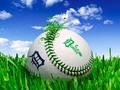 💣 ¿Cuál ha sido el juego de béisbol más largo en la historia?...