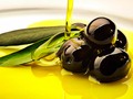 📌 Descubre la importancia de los aceites en tu vida...