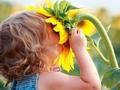 ☀️ ¿Por qué se pierde el sentido del gusto cuando nos resfriamos?...