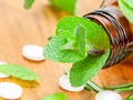 🍏 Las plantas medicinales más beneficiosas del mundo...