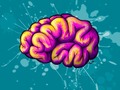 ⭐️ La estructura del cerebro define la forma de ser de cada persona...