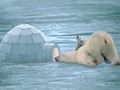 📺 ¿Cuál de los polos de la Tierra es el más frÃo?...