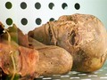 馃搶 Conoce a Guayota, el demonio mitol贸gico que habit贸 en Tenerife...