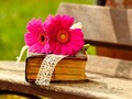 ☀️ 4 curiosidades de La Biblia que te harán leerla (de nuevo)...