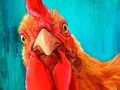 ☀️ Por qué "gallina" ya no es sinónimo de "cobarde"...