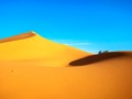 📺 Las dunas y las olas del mar tienen más en común de lo que imaginas...