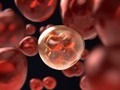 Toshiba desarrollará dispositivo que detecta 13 tipos de cáncer con precisión de 99%% vía…