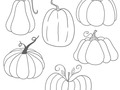 6 Color in Pumpkin Stickers or 1 Coloring Sheet, Planner Stick by LucileStudios via Etsy