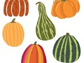 6 Colorful Pumpkin Stickers, Planner Stickers, Fall Stickers, by LucileStudios via Etsy
