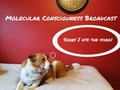 I liked a YouTube video What is consciousness broadcast - Metaphysical Corner - Episode 18