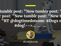 New tumblr post: "New tumblr post: "New tumblr post: "New tumblr post: "New tumblr post: "RT #Dogs #dog!-->… …