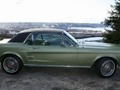 Eye-Catching Lime Gold 1967 Ford Mustang Coupe