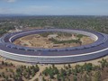 La última subasta de Tim Cook: come con él en el Apple Park por 65.000 dólares (y subiendo)