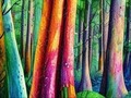 Altered Urbane on Instagram: "The Ancient Forest #nightcafe"