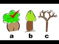 He añadido un vídeo a una lista de reproducción de YouTube ( - Increíble TEST del Árbol que Revela Quién